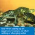 API® Turtle Water Conditioner image thumbnail 3