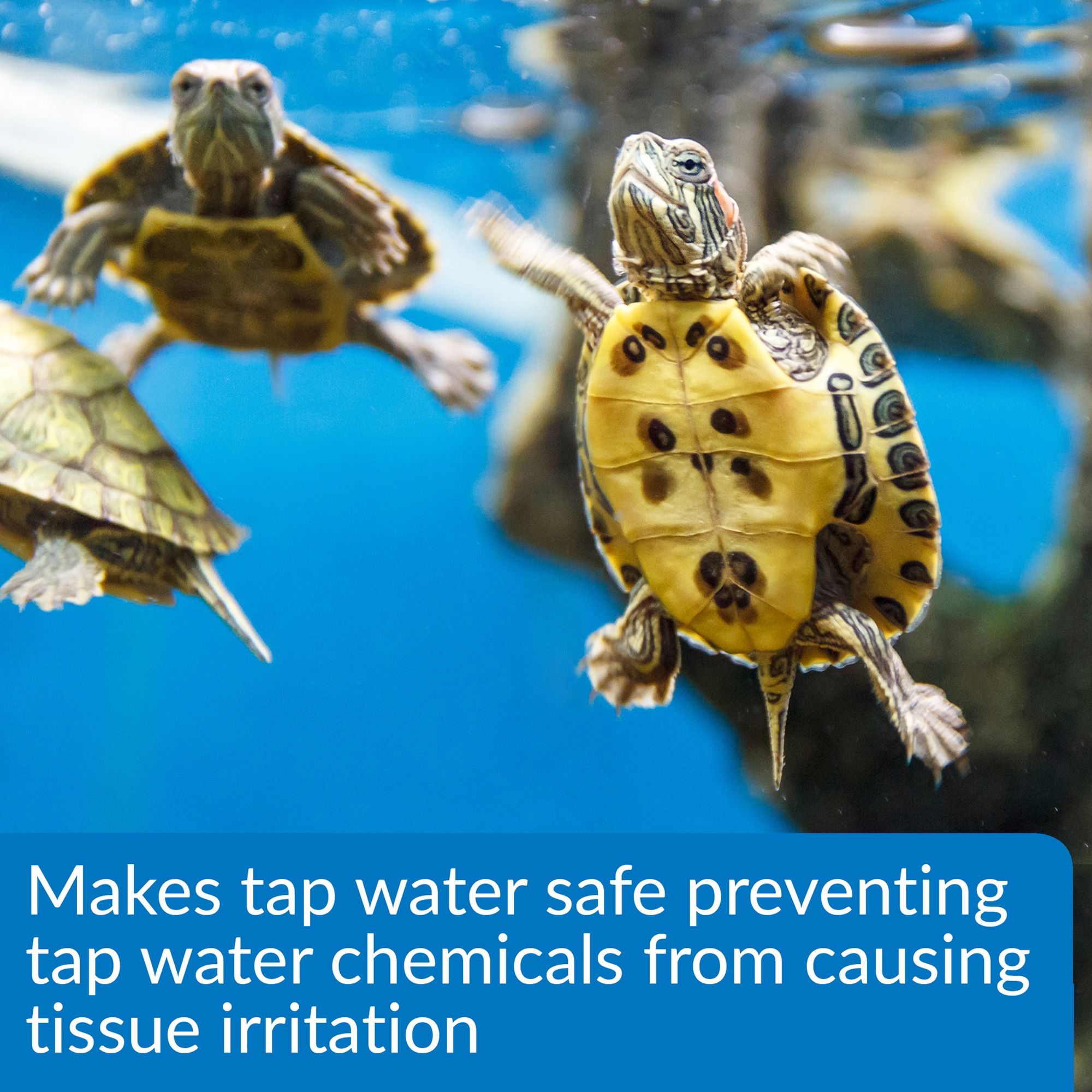 API® Turtle Water Conditioner - Aquatic Reptile Water Care - 8 oz - thumbnail 4