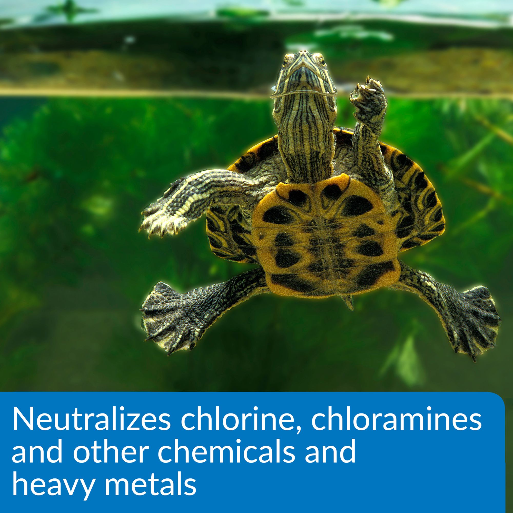 API® Turtle Water Conditioner - Aquatic Reptile Water Care - 8 oz - thumbnail 5