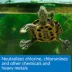 API® Turtle Water Conditioner image thumbnail 5