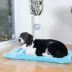 Armarkat Luxe Velvet Mat Pet Bed image thumbnail 4