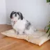 Armarkat Luxe Velvet Mat Pet Bed image thumbnail 4