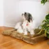 Armarkat Luxe Velvet Mat Pet Bed image thumbnail 3