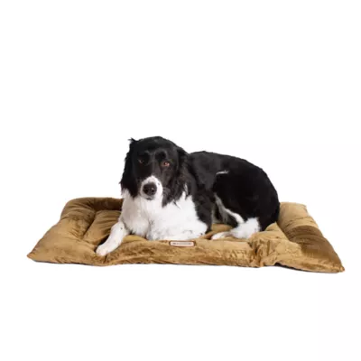 Product Armarkat Luxe Velvet Mat Pet Bed