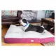 Product Armarkat Burgundy & Ivory Mat Dog Bed