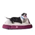 Armarkat Burgundy & Ivory Mat Dog Bed image thumbnail 4