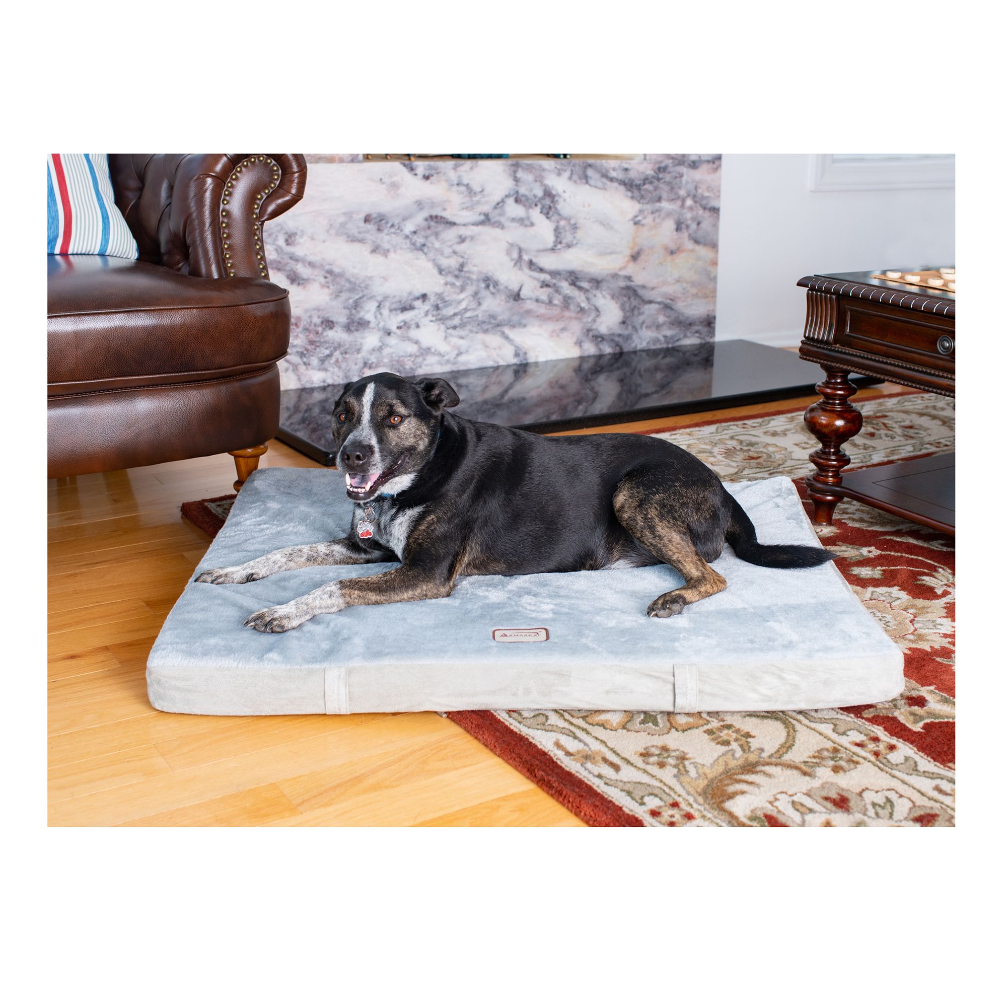 petsmart memory foam dog bed