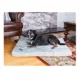 Product Armarkat Faux Suede Memory Foam Orthopedic Pet Bed Mat