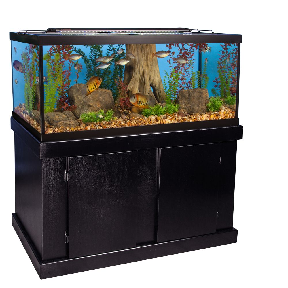 75 gallon fish tank stand