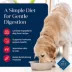 Blue Buffalo® Basics™ Skin & Stomach Care Adult Dog Dry Food - Grain Free, Salmon & Potato image thumbnail 3