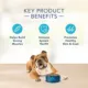 Product Blue Buffalo® Basics™ Skin & Stomach Care Adult Dog Dry Food - Grain Free, Salmon & Potato