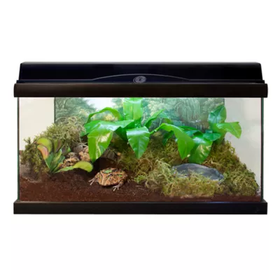 Product Zoo Med Eco Earth Loose Reptile Substrate