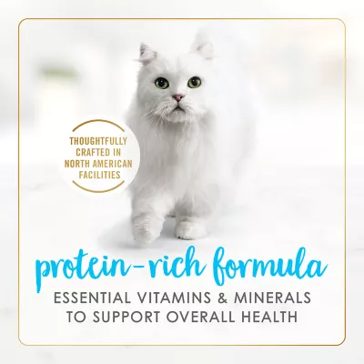 Product Fancy Feast® Delights with Cheddar Wet Cat Food