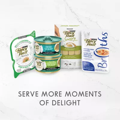 Product Fancy Feast® Delights with Cheddar Wet Cat Food