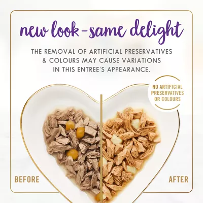 Product Fancy Feast® Delights with Cheddar Wet Cat Food