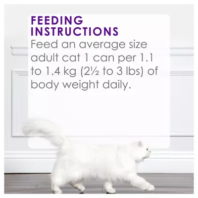 Product Fancy Feast® Delights with Cheddar Wet Cat Food