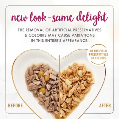 Fancy Feast® Delights with Cheddar Wet Cat Food - Image 4