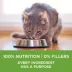 Purina ONE +Plus Advantage Indoor Dry Cat Food - Turkey image thumbnail 4