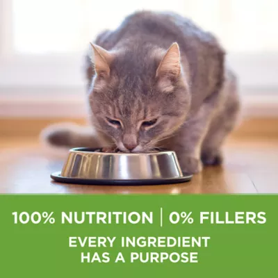 Purina smartblend cat food best sale