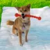 KONG® Safestix Dog Toy (COLOR VARIES) image thumbnail 2