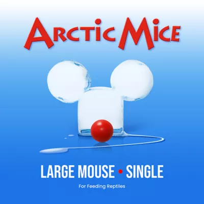 Product Arctic Mice Frozen Large Mice