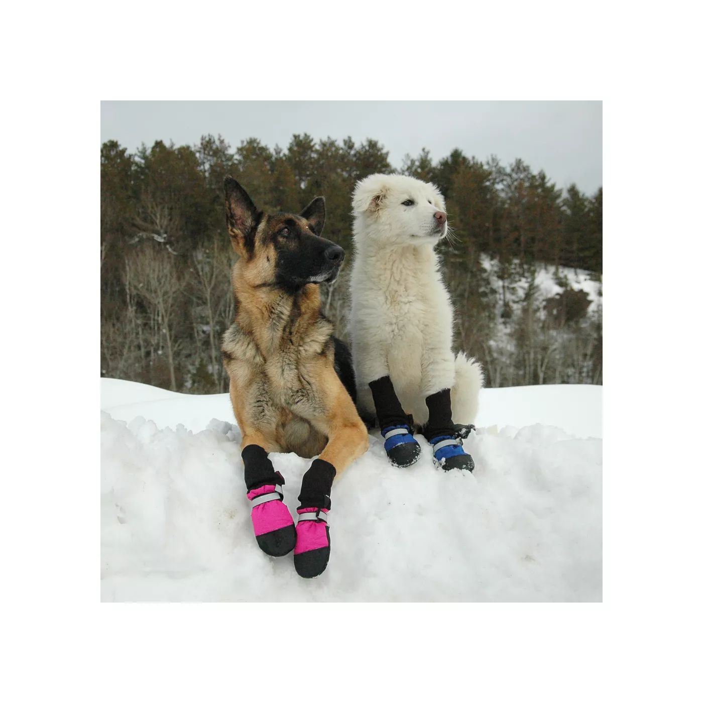 Muttluks Fleece Lined Dog Bootie Set