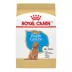 Royal Canin Puppy Dry Dog Food - Poodle Breed Health Nutrition, 2.5 lb image thumbnail 1