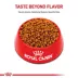 Royal Canin Puppy Dry Dog Food - Poodle Breed Health Nutrition, 2.5 lb image thumbnail 2