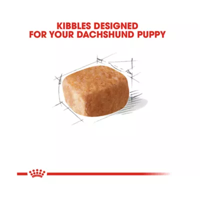 Product Royal Canin® Breed Health Nutrition® Dachshund Breed Specific Puppy Dog Dry Food - 2.5 lb