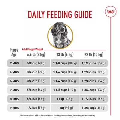 Product Royal Canin® Breed Health Nutrition® Dachshund Breed Specific Puppy Dog Dry Food - 2.5 lb