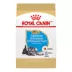 Royal Canin Puppy Dry Dog Food - Miniature Schnauzer Breed Health Nutrition, 2.5 lb image thumbnail 1