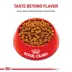 Royal Canin Puppy Dry Dog Food - Miniature Schnauzer Breed Health Nutrition, 2.5 lb image thumbnail 2
