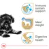 Royal Canin Puppy Dry Dog Food - Miniature Schnauzer Breed Health Nutrition, 2.5 lb image thumbnail 3