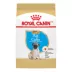 Royal Canin Puppy Dry Dog Food - Pug Breed Health Nutrition, 2.5 lb image thumbnail 1