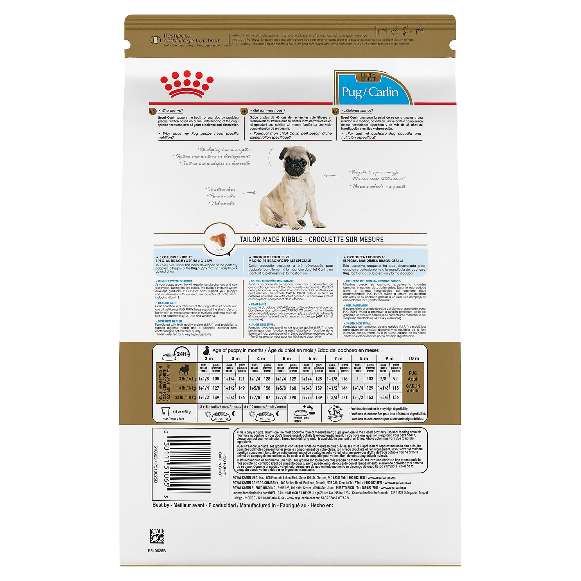 royal canin breed health nutrition pug adult dry dog food