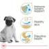 Royal Canin Puppy Dry Dog Food - Pug Breed Health Nutrition, 2.5 lb image thumbnail 3