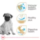 Product Royal Canin® Breed Health Nutrition® Pug Breed Specific Puppy Dog Dry Food - 2.5 lb