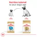 Royal Canin Puppy Dry Dog Food - Pug Breed Health Nutrition, 2.5 lb image thumbnail 6