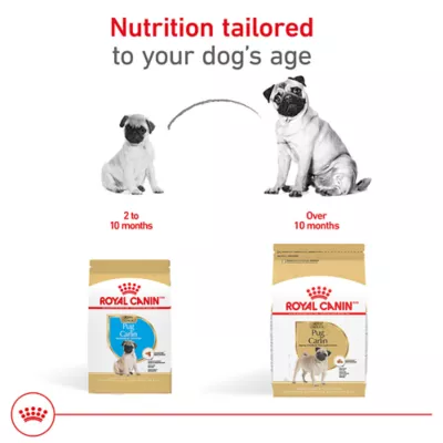 Product Royal Canin® Breed Health Nutrition® Pug Breed Specific Puppy Dog Dry Food - 2.5 lb