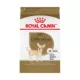 Product Royal Canin® Breed Health Nutrition® Chihuahua Breed Specific Adult Dog Dry Food