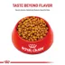 Royal Canin Adult Dry Dog Food - Chihuahua Breed Health Nutrition image thumbnail 2