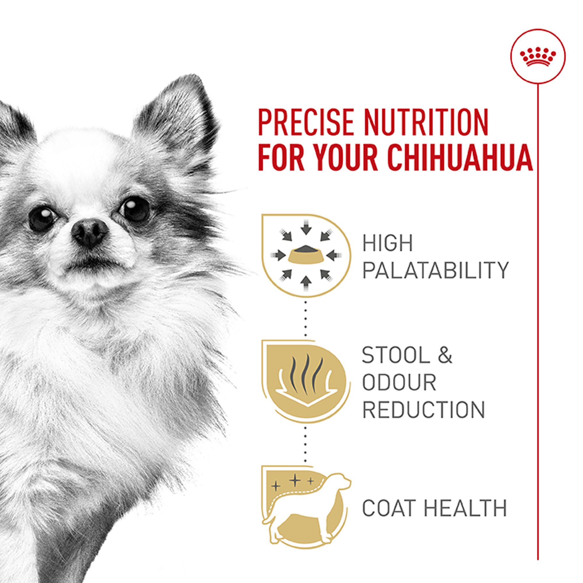 petsmart royal canin chihuahua