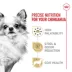 Royal Canin Adult Dry Dog Food - Chihuahua Breed Health Nutrition image thumbnail 3