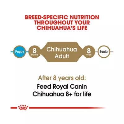 Product Royal Canin® Breed Health Nutrition® Chihuahua Breed Specific Adult Dog Dry Food