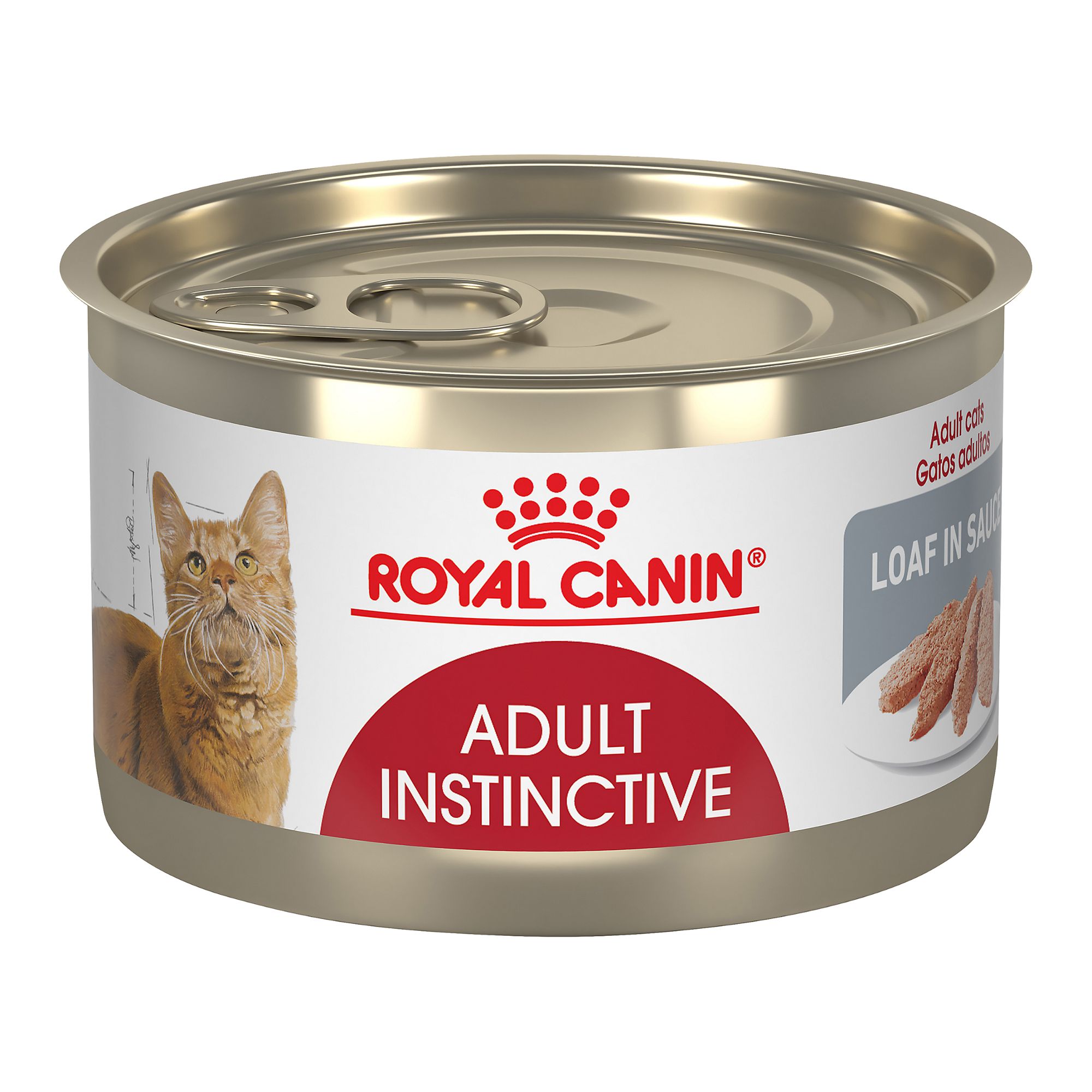 royal canin wet cat food