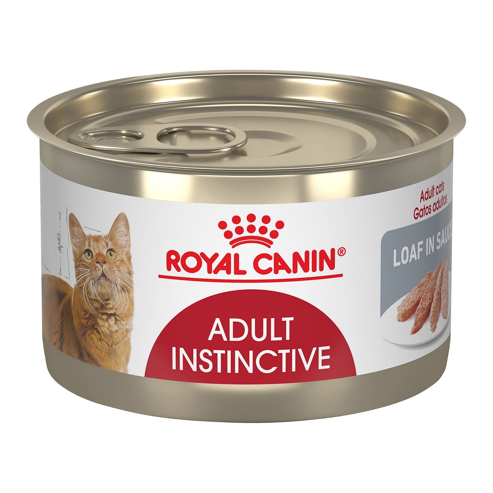 royal canin wet food