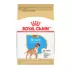 Royal Canin® Breed Health Nutrition® Boxer Breed Specific Puppy Dog Dry Food - 30 lb image thumbnail 1