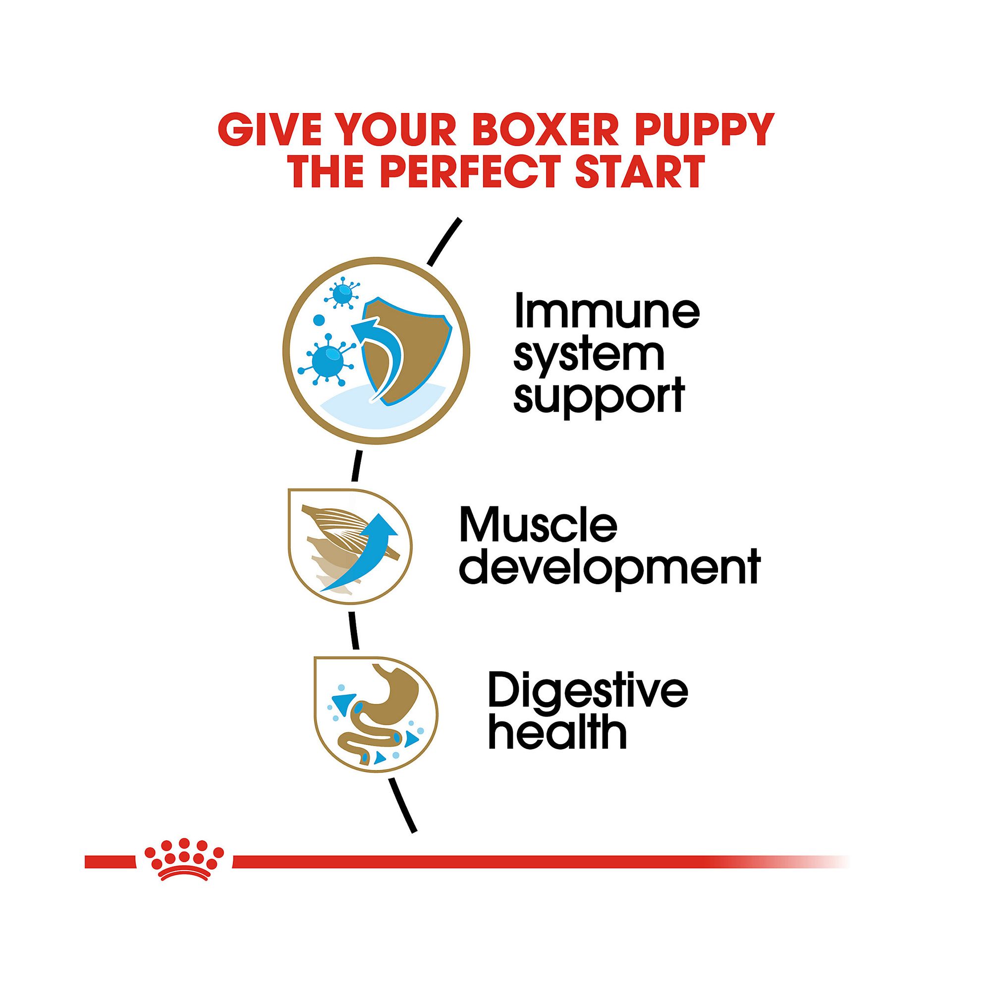 royal canin boxer puppy