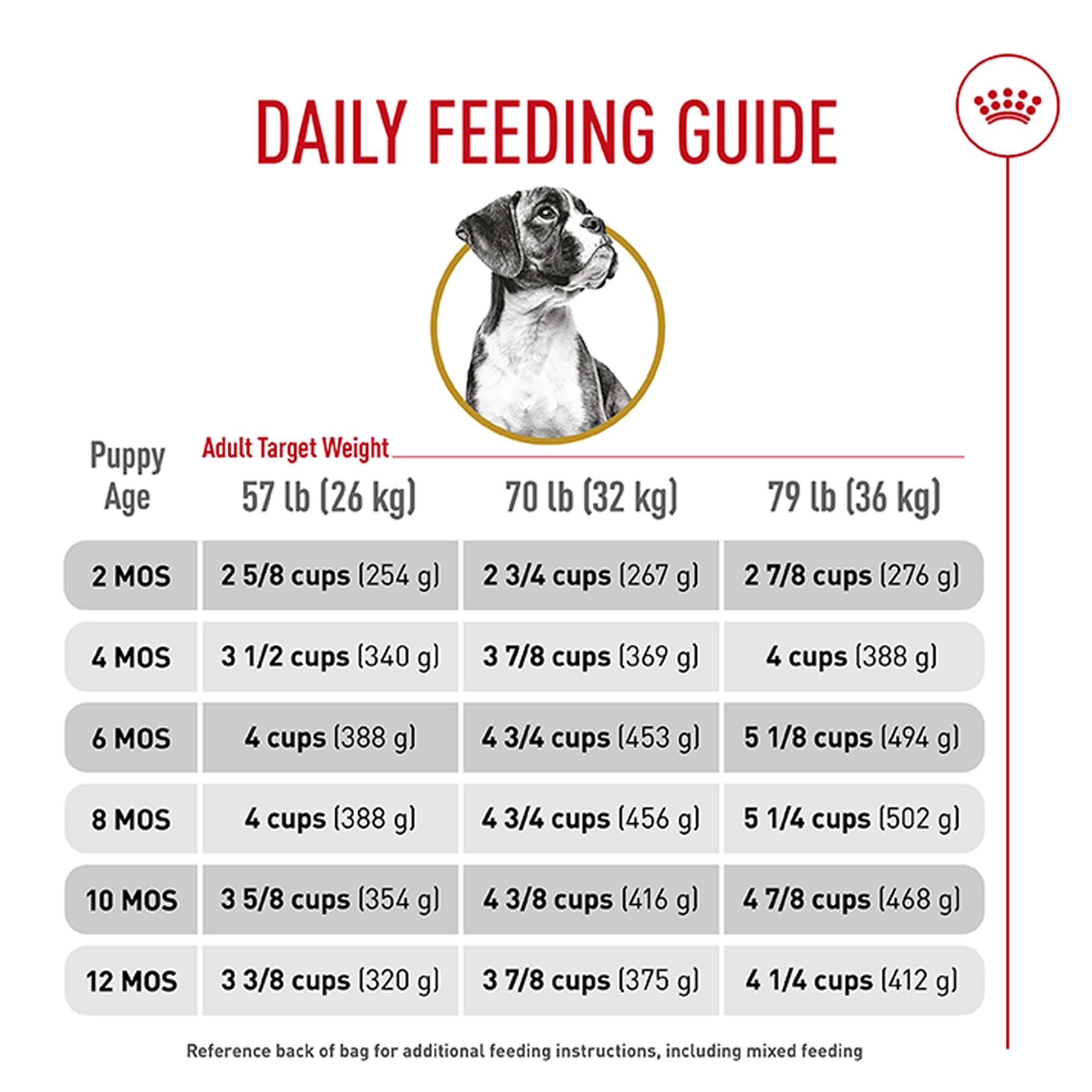 When Do I Start Adult Dog Food Husky: Essential Feeding Guide
