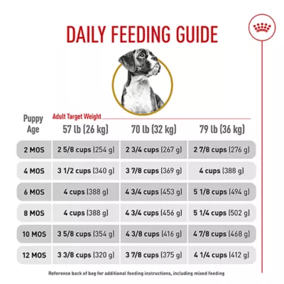 Product Royal Canin® Breed Health Nutrition® Boxer Breed Specific Puppy Dog Dry Food - 30 lb